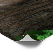 Poster Monkey juste chill (Coin)