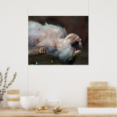 Poster Monkey juste chill (Cuisine)