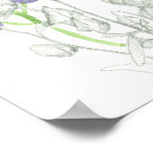 Poster Monkshood Poisonous Plante étude botanique (Coin)