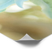 Poster Monnaie Vert Succulent Cactus Fleur Nature Art (Coin)