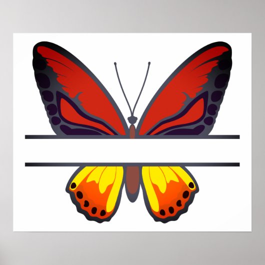 Poster Monogramme de fractionnement de papillon orange pe (Devant)
