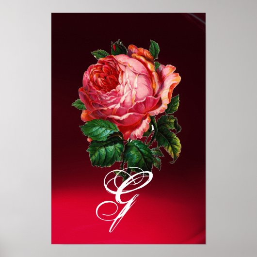 POSTER MONOGRAMME DE ROSE ROSE PÂLE BELLE (Devant)