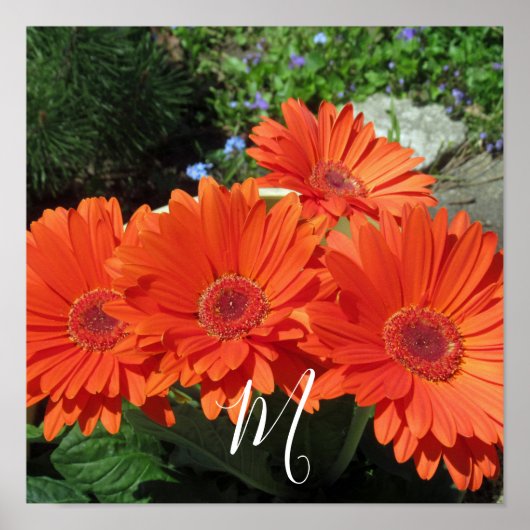 Poster Monogramme Orange Floral Photographie (Devant)