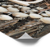 Poster Monogramme personnalisé initial nom champignons sa (Coin)