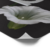 Poster Monogramme personnalisé initial Nom Morning Glory (Coin)