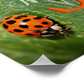 Poster Monogramme personnalisé Initiale Nom Art coccinell (Coin)