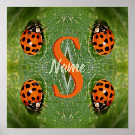 Poster Monogramme personnalisé Initiale Nom Art coccinell (Devant)
