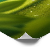 Poster Monogramme romantique en couple d'arbre (Coin)