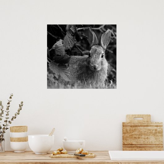 Poster MonoLapin (Cuisine)