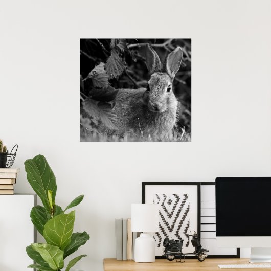 Poster MonoLapin (Bureau à domicile)