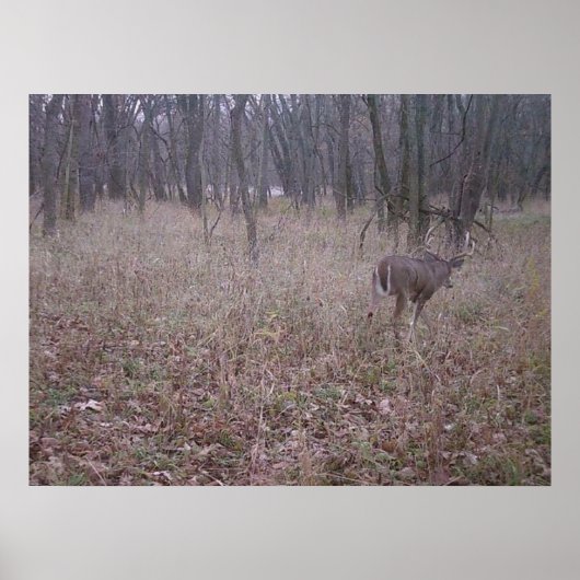 Poster Monster Buck (Devant)