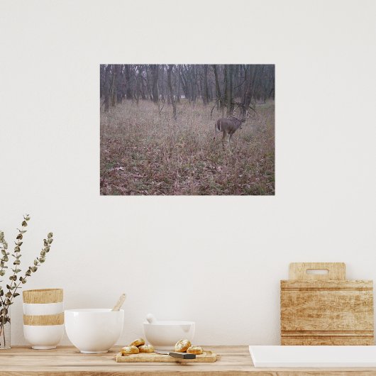 Poster Monster Buck (Cuisine)