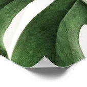 Poster Monstera (Coin)