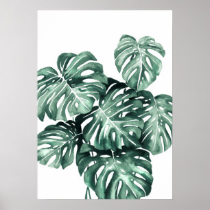 Poster Monstera Deliciosa Feuilles