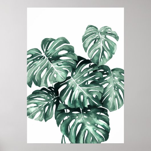 Poster Monstera Deliciosa Feuilles (Devant)