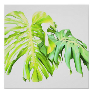 Poster Monstera étude de la feuille artistique