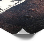 Poster "Monstre de Surf" (Coin)