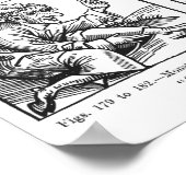 Poster Monstres nés du Deluge (Coin)