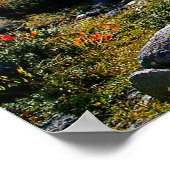 Poster Mont Baker (Coin)