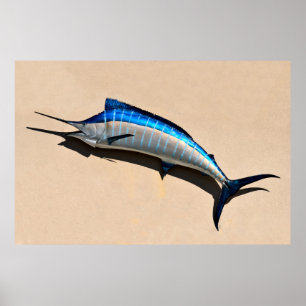 Poster Mont du poisson bleu Marlin