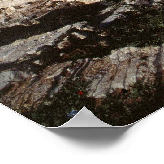 Poster Mont du Temple (Coin)