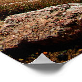 Poster Mont Evans CO (Coin)