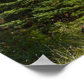 Poster Mont Hood de Vista Ridge (Coin)