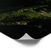 Poster Mont Kilimanjaro (Coin)