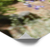 Poster Mont Lupins (Coin)