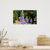 Poster Mont Lupins (Cuisine)