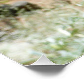 Poster Mont Lupins (Coin)