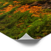 Poster Mont Rainer, Spray Park automne (Coin)