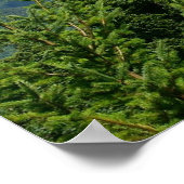 Poster Mont Rainier (Coin)