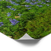Poster Mont Rainier avec des lupins violets (Coin)