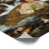 Poster Mont Rainier, cascade, enneigé (Coin)