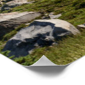 Poster Mont Rainier National Park, WA Parc Spray (Coin)