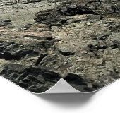 Poster Mont Rollerston (Coin)