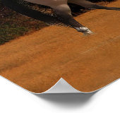 POSTER MONT SHASTA AVEC CHEVAL ET RIDER (Coin)