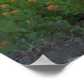 Poster Mont Shuksan (Coin)