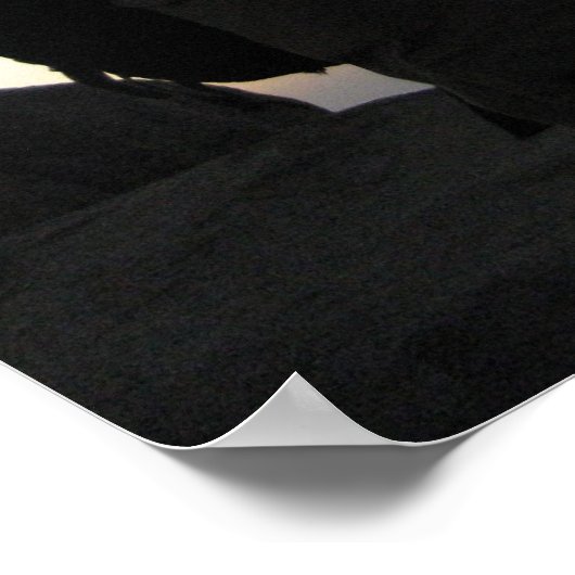 Poster Mont Sinaï (Coin)