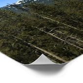 Poster Mont Thielsen, Oregon (Coin)