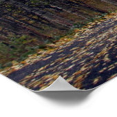 Poster Mont Timpanogos, Utah (Coin)