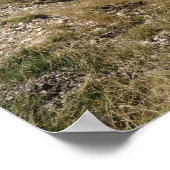 Poster Mont Ventoux - Panorama (Coin)