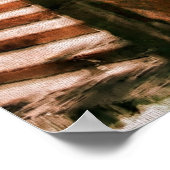 Poster Mont Vernon Brownstone, Peabody Institute, (Coin)