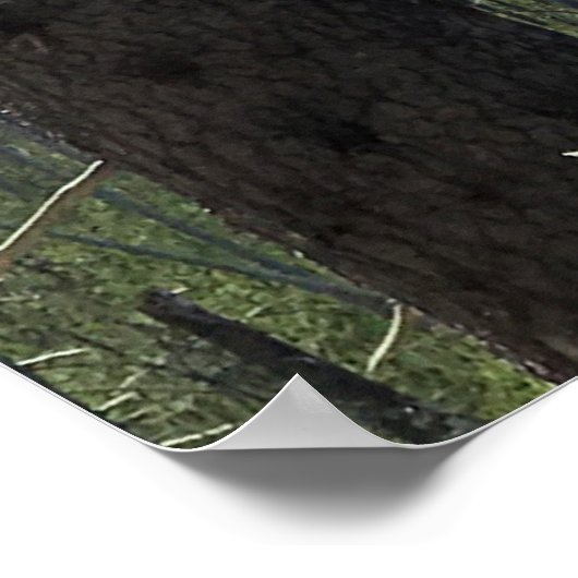 Poster Mont Washington, OR (Coin)