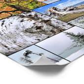 Poster Montage d'arbres 28 x 20 (Coin)