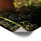 Poster Montage de la fille (Coin)