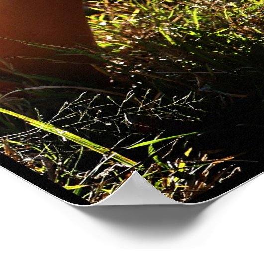 Poster Montage de la fille (Coin)