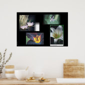Poster Montage floral (Cuisine)