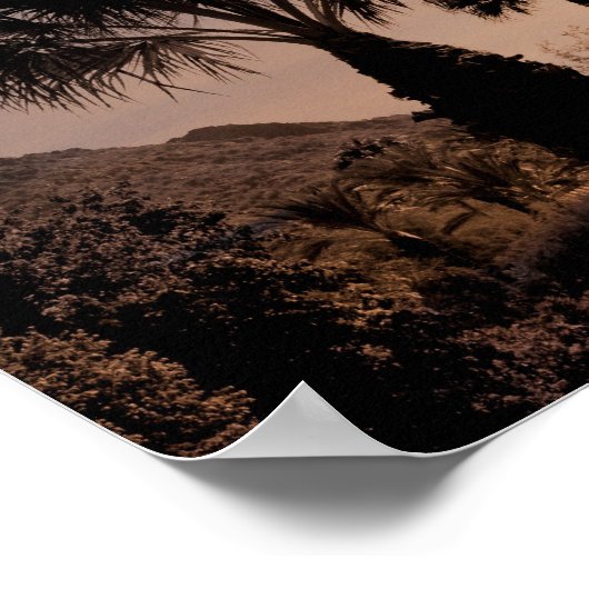 Poster Montagne Camelback (Coin)